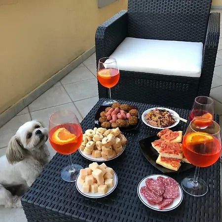 Apartment Elena